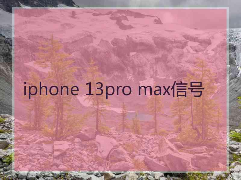 iphone 13pro max信号