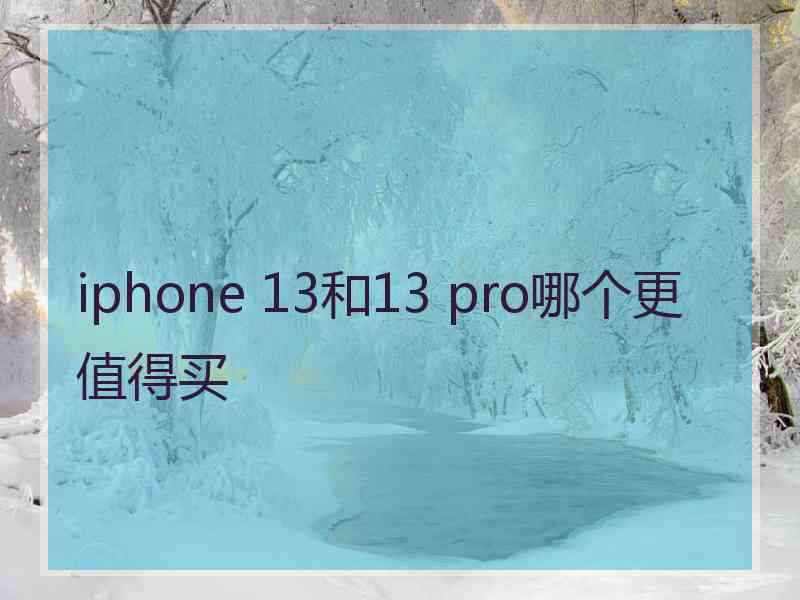 iphone 13和13 pro哪个更值得买