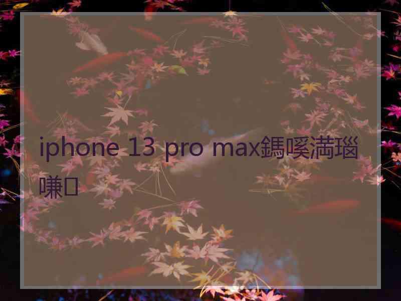 iphone 13 pro max鎷嗘満瑙嗛