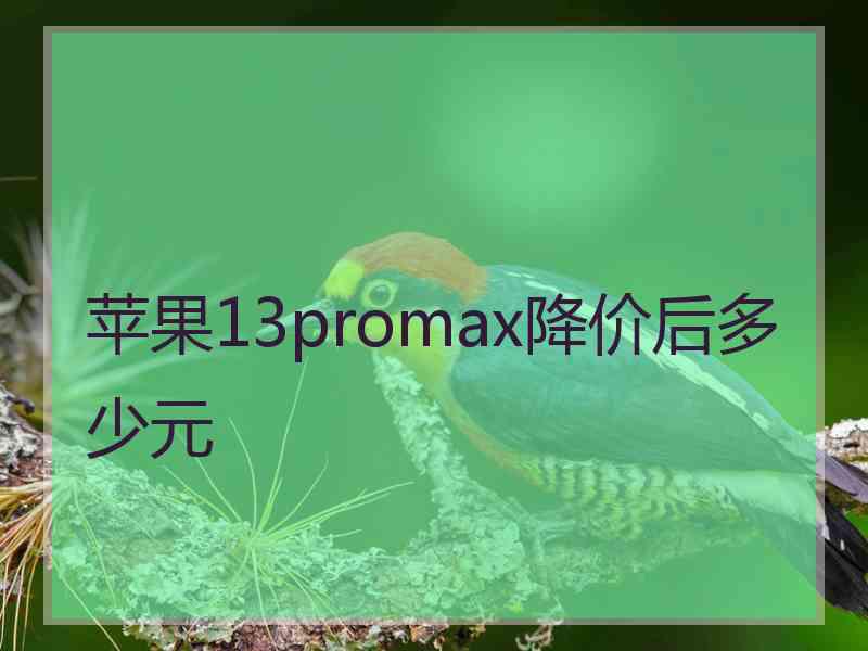 苹果13promax降价后多少元