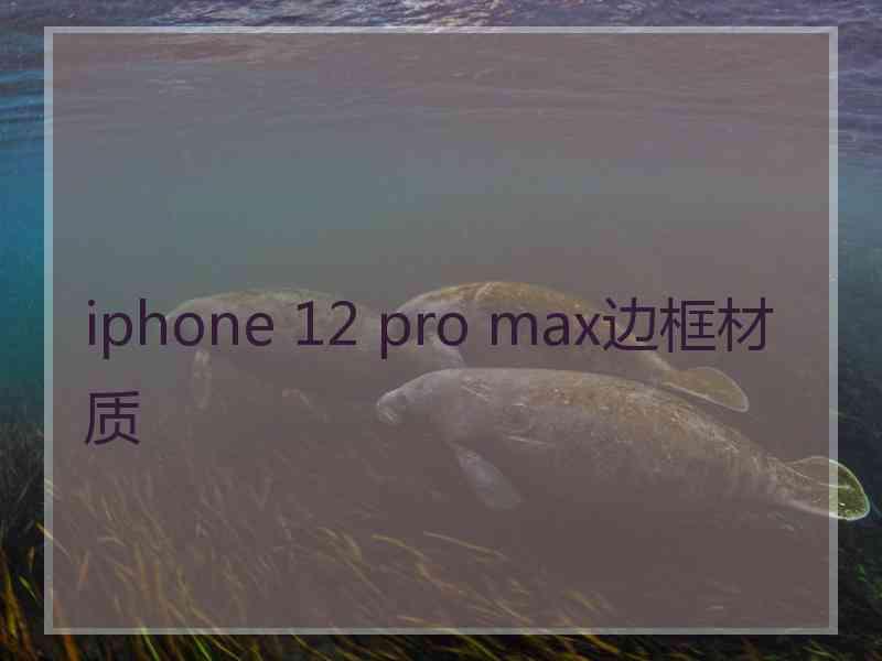 iphone 12 pro max边框材质