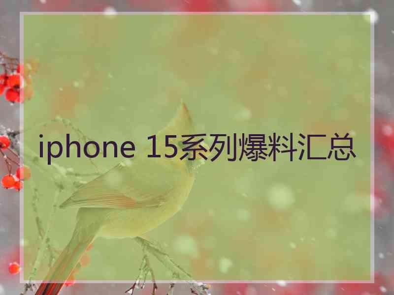 iphone 15系列爆料汇总