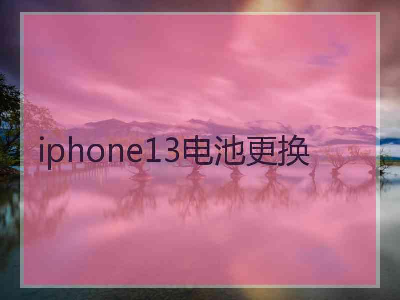 iphone13电池更换