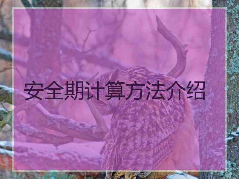 安全期计算方法介绍