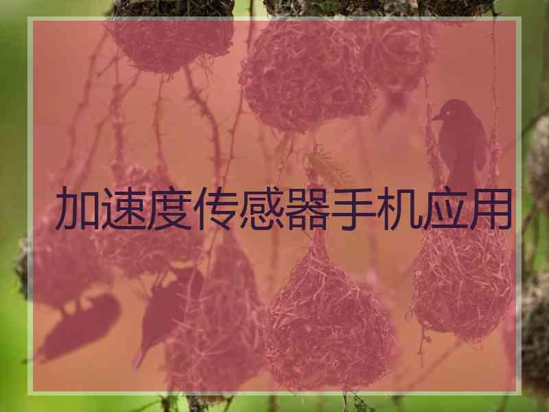 加速度传感器手机应用