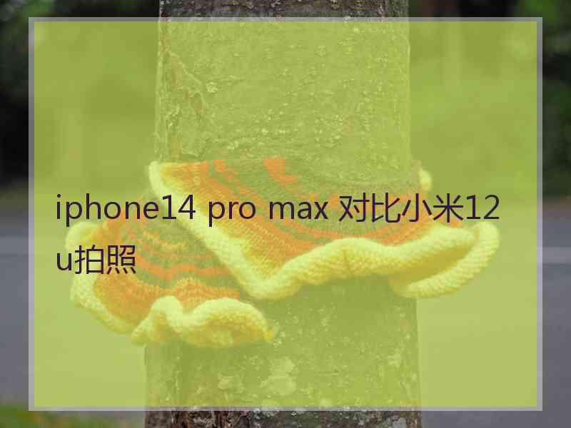 iphone14 pro max 对比小米12 u拍照