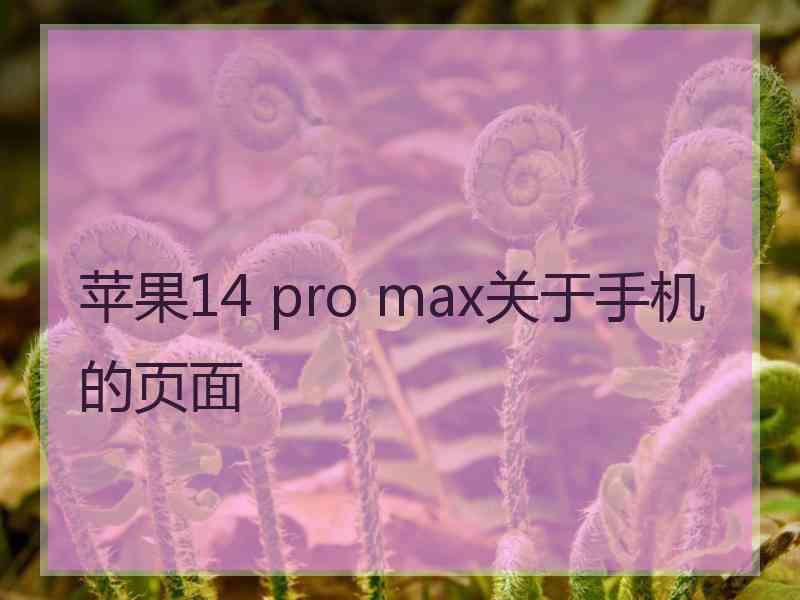 苹果14 pro max关于手机的页面