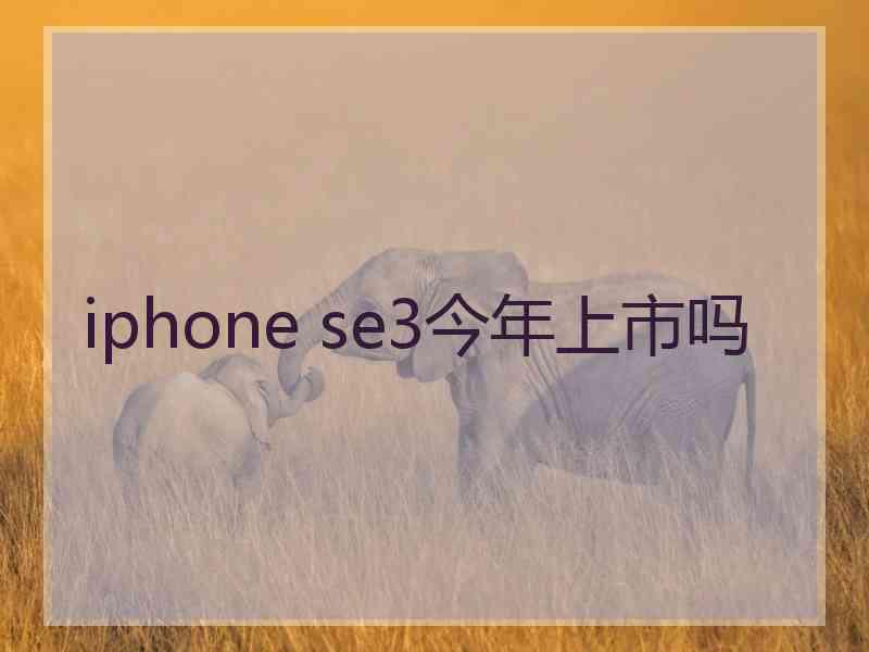 iphone se3今年上市吗