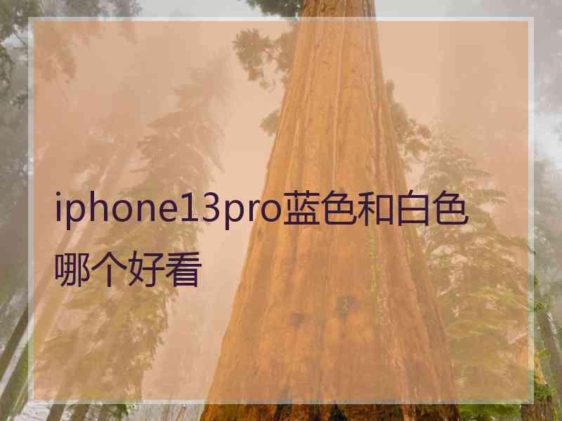 iphone13pro蓝色和白色哪个好看