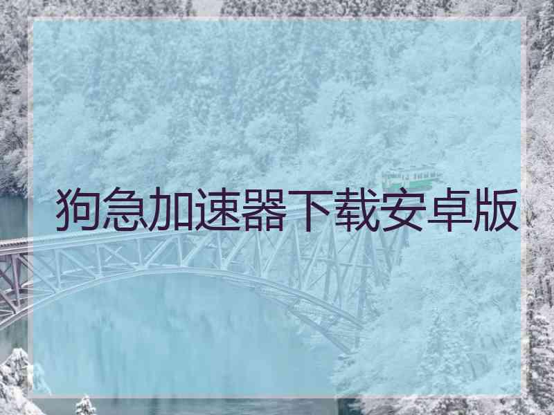 狗急加速器下载安卓版