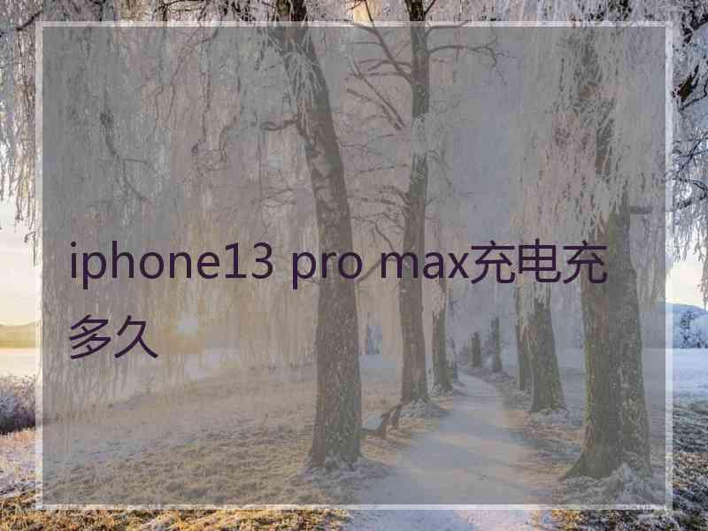 iphone13 pro max充电充多久