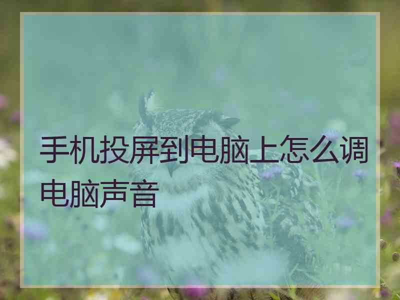 手机投屏到电脑上怎么调电脑声音