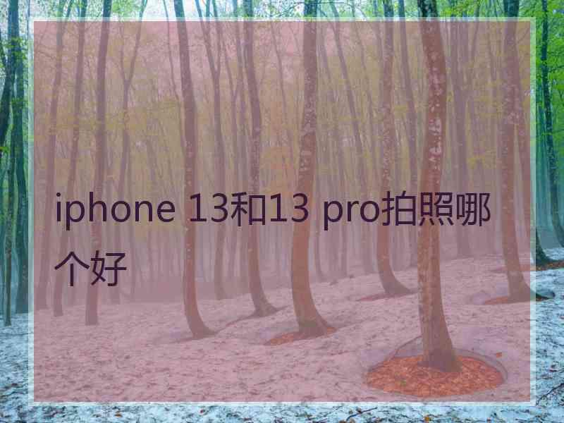 iphone 13和13 pro拍照哪个好