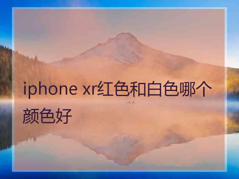 iphone xr红色和白色哪个颜色好