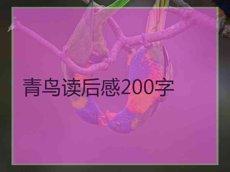 青鸟读后感200字