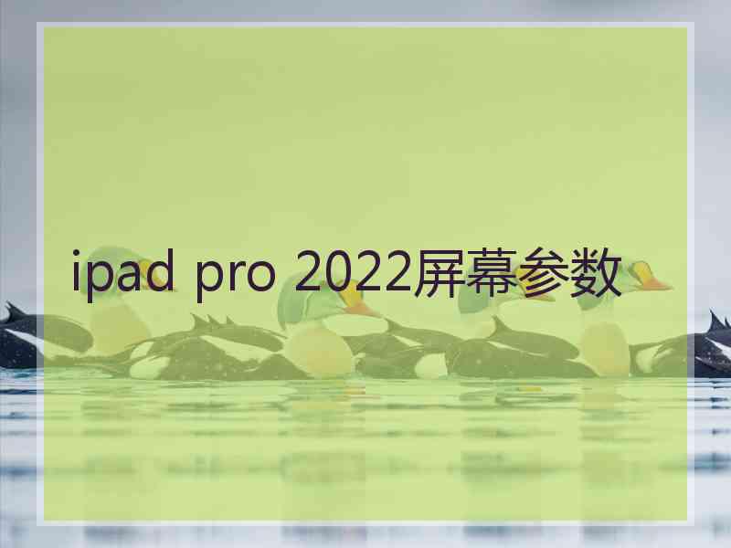 ipad pro 2022屏幕参数