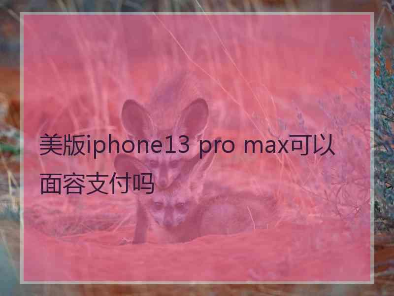 美版iphone13 pro max可以面容支付吗