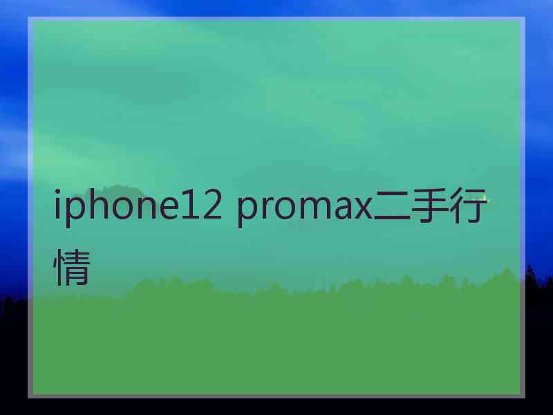 iphone12 promax二手行情