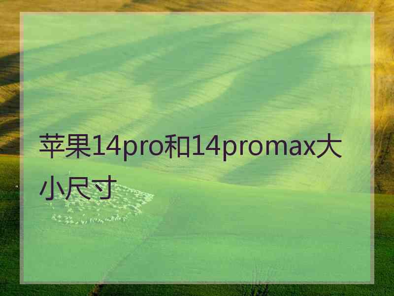 苹果14pro和14promax大小尺寸