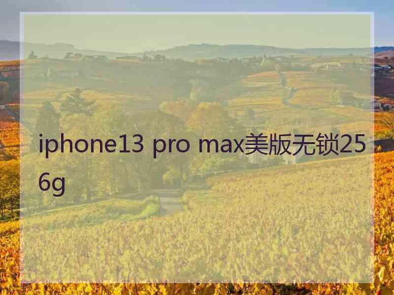 iphone13 pro max美版无锁256g