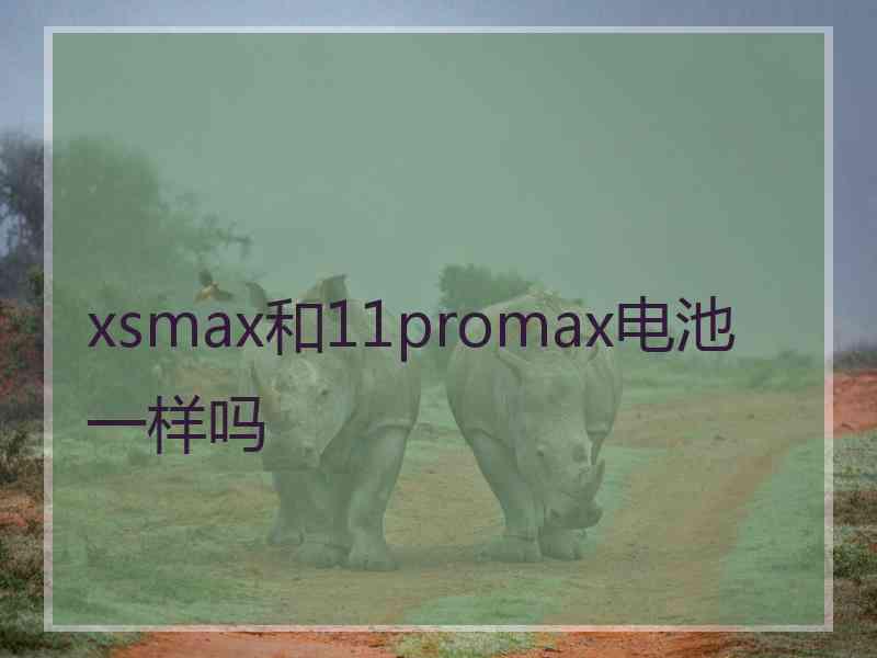 xsmax和11promax电池一样吗