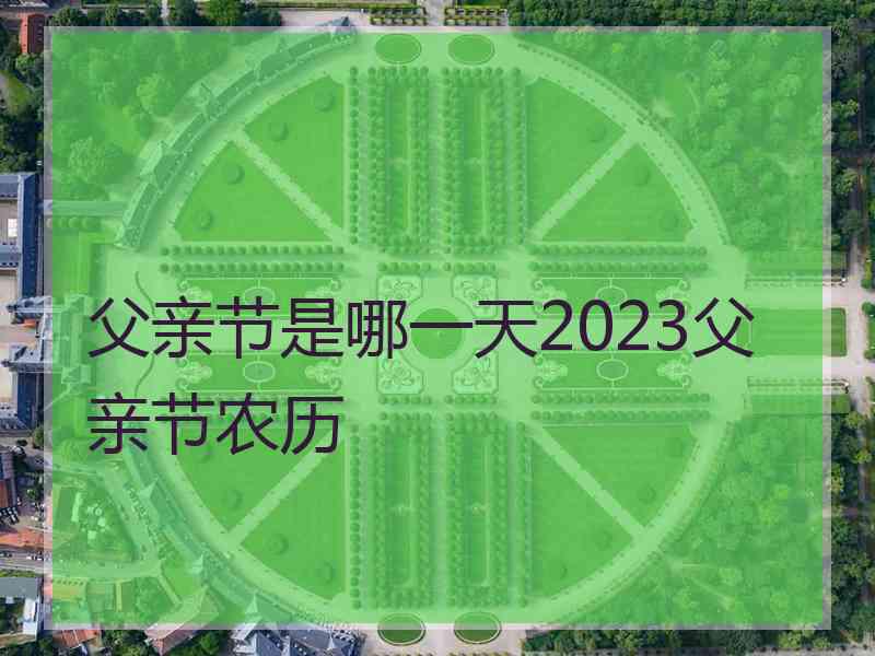 父亲节是哪一天2023父亲节农历