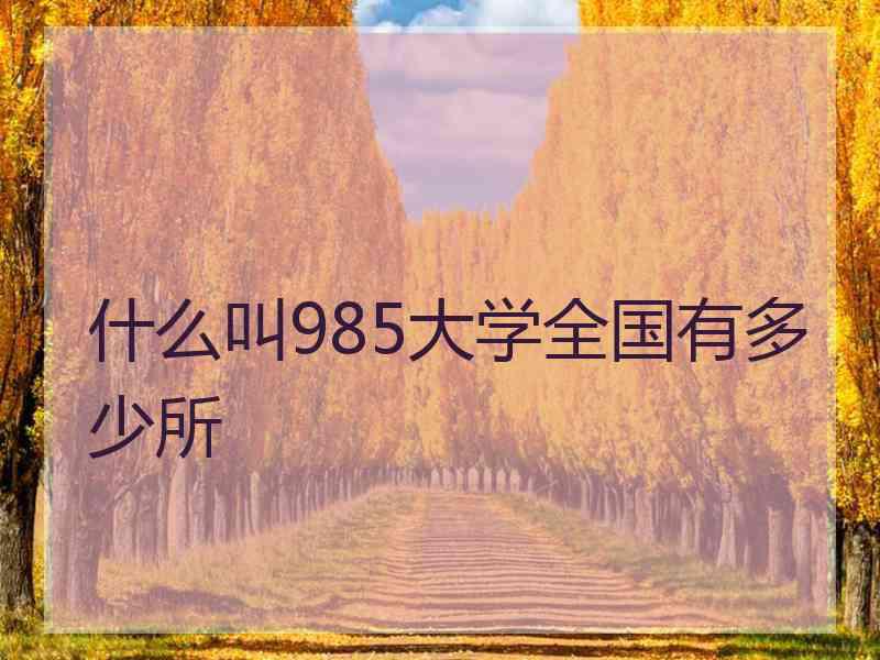 什么叫985大学全国有多少所