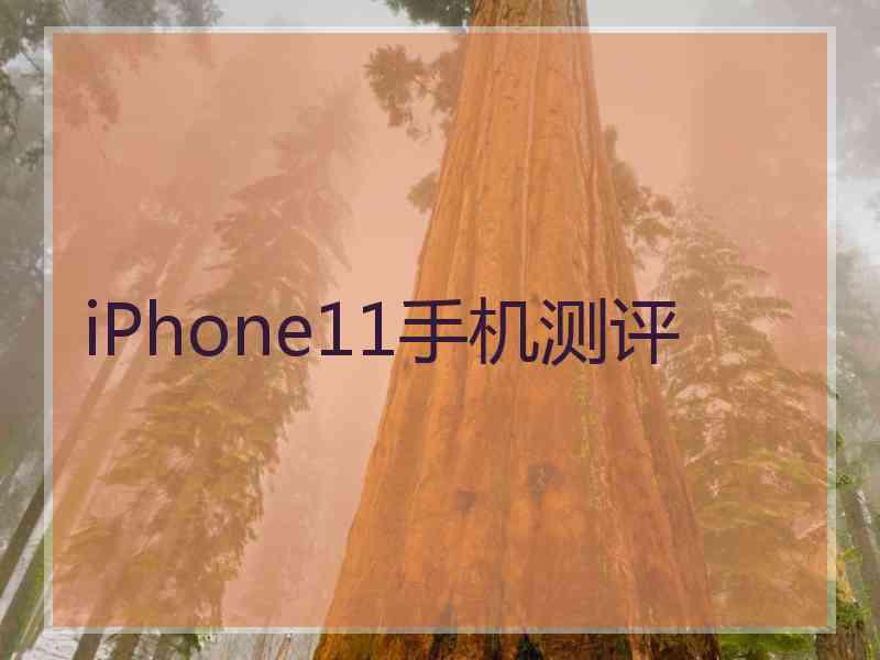 iPhone11手机测评