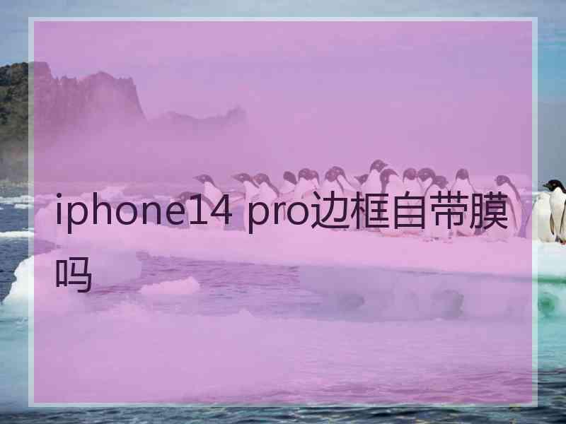 iphone14 pro边框自带膜吗