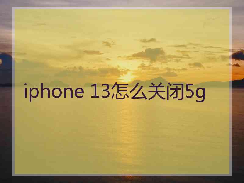 iphone 13怎么关闭5g