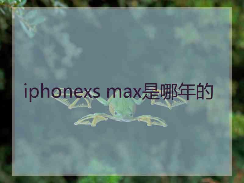 iphonexs max是哪年的