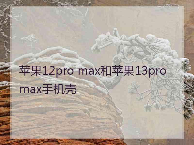 苹果12pro max和苹果13promax手机壳