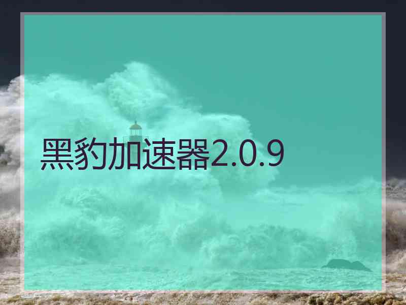 黑豹加速器2.0.9