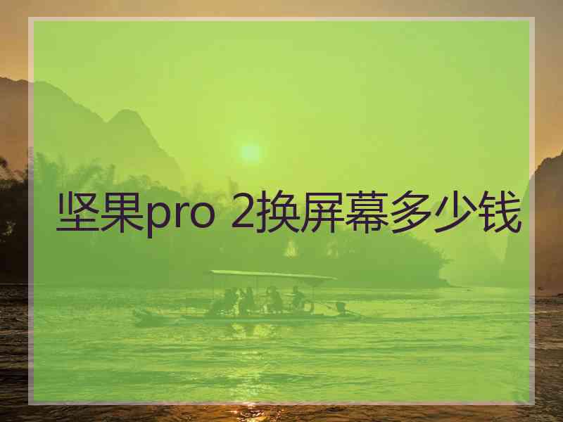 坚果pro 2换屏幕多少钱