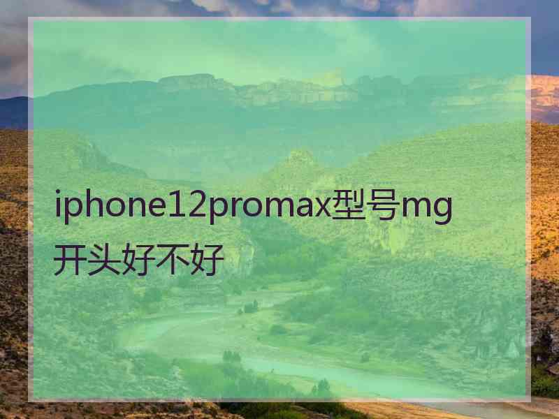 iphone12promax型号mg开头好不好