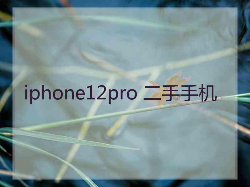 iphone12pro 二手手机