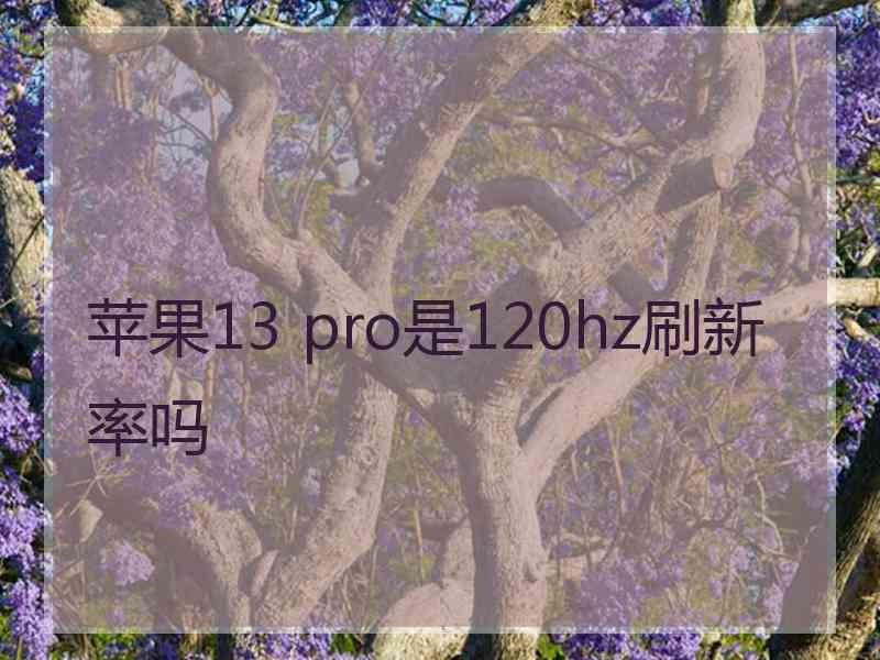 苹果13 pro是120hz刷新率吗