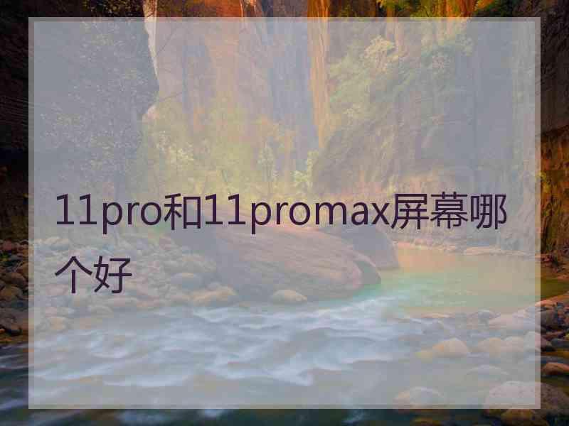 11pro和11promax屏幕哪个好