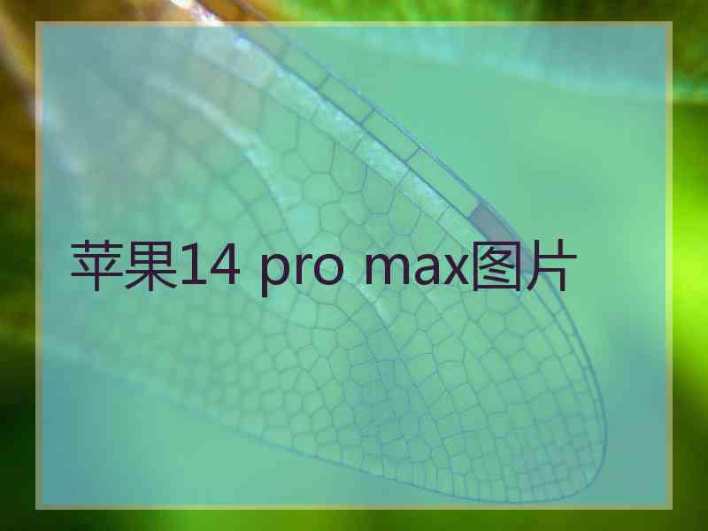 苹果14 pro max图片