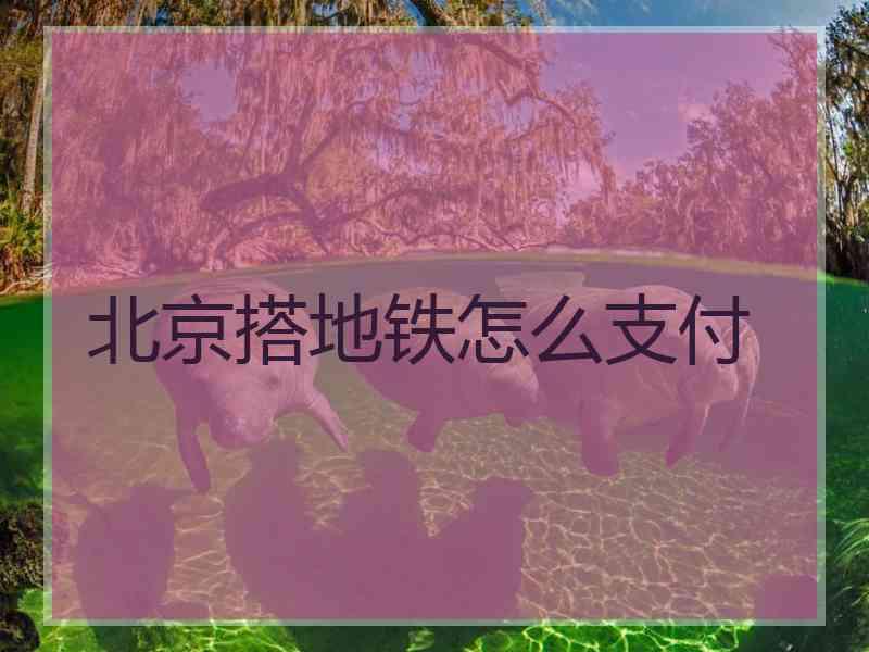 北京搭地铁怎么支付