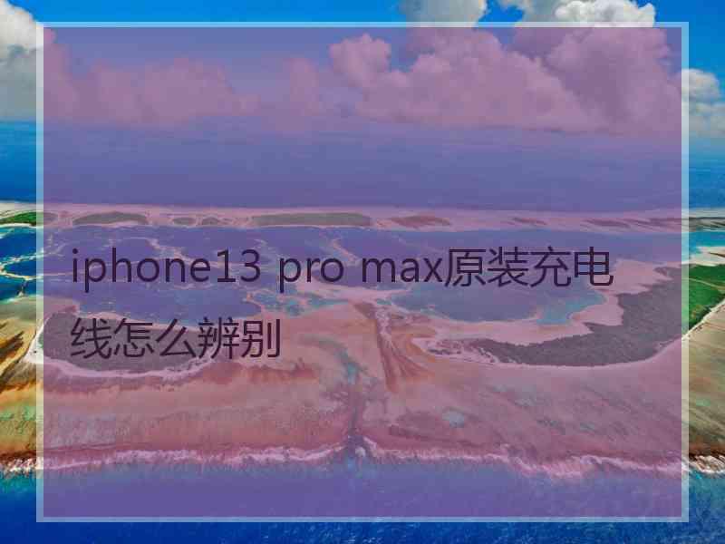 iphone13 pro max原装充电线怎么辨别