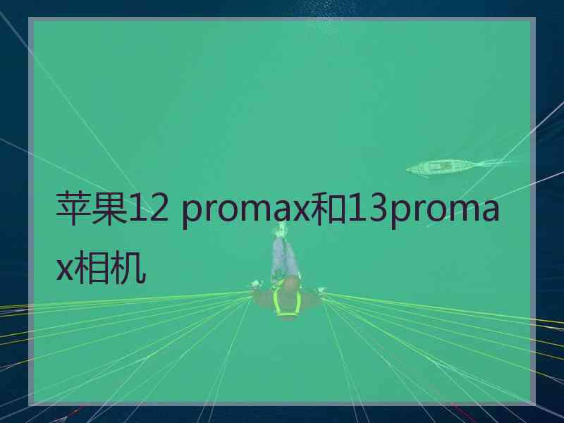 苹果12 promax和13promax相机