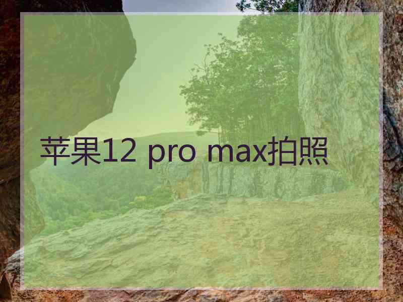 苹果12 pro max拍照