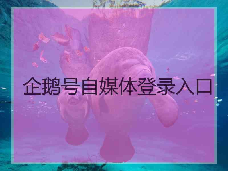 企鹅号自媒体登录入口