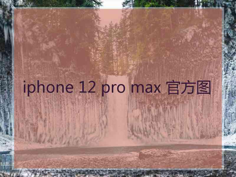 iphone 12 pro max 官方图