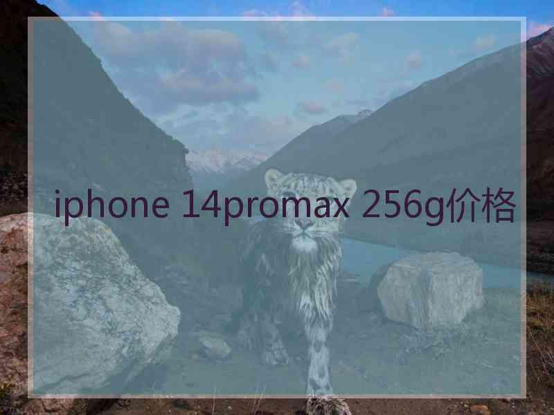 iphone 14promax 256g价格