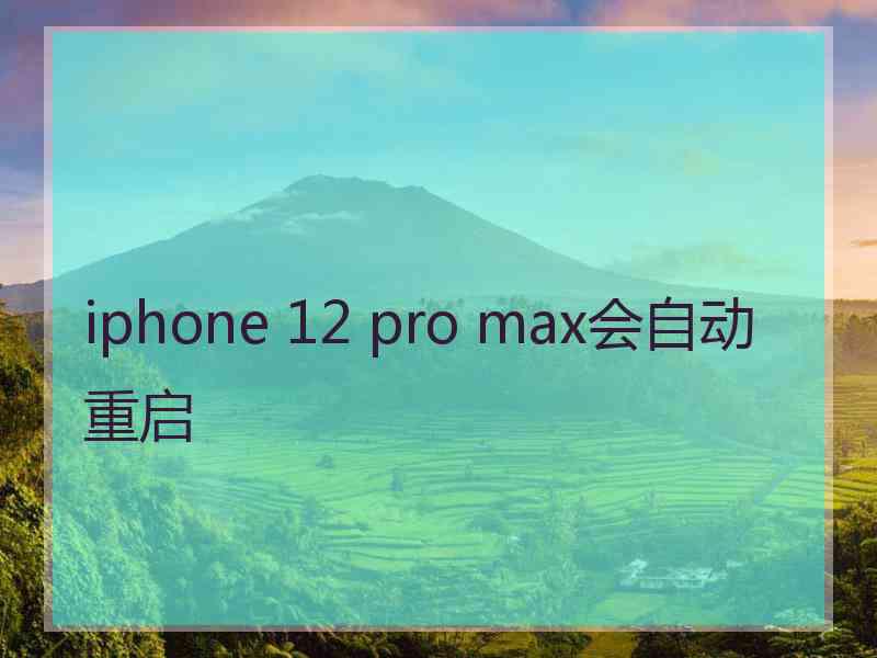 iphone 12 pro max会自动重启