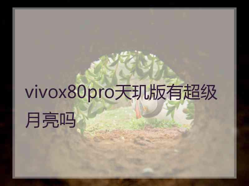 vivox80pro天玑版有超级月亮吗