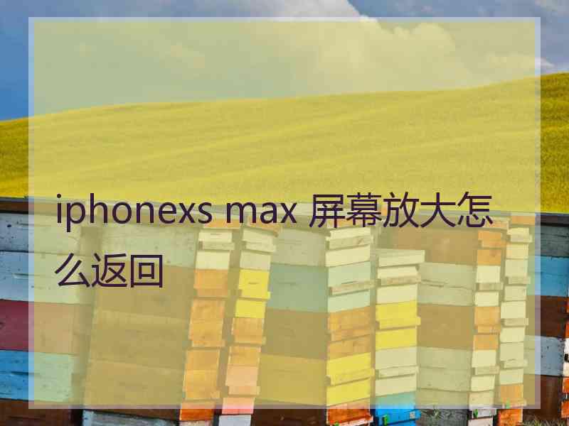 iphonexs max 屏幕放大怎么返回