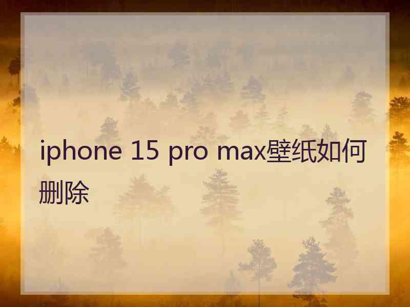 iphone 15 pro max壁纸如何删除